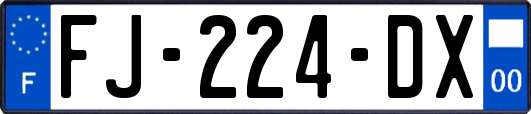 FJ-224-DX