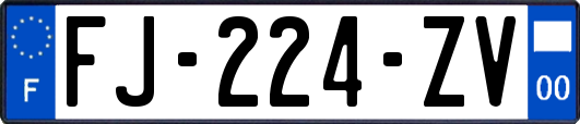 FJ-224-ZV