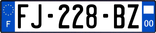 FJ-228-BZ