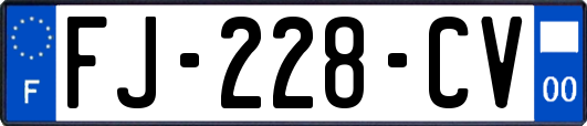 FJ-228-CV