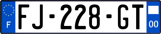FJ-228-GT