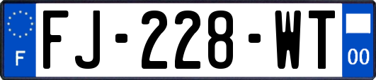 FJ-228-WT