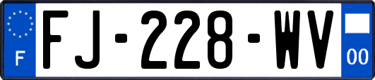 FJ-228-WV