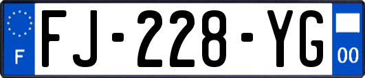 FJ-228-YG