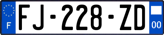 FJ-228-ZD