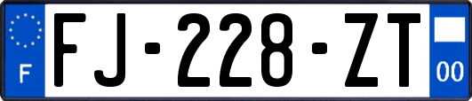 FJ-228-ZT