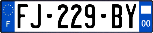 FJ-229-BY