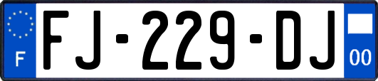 FJ-229-DJ