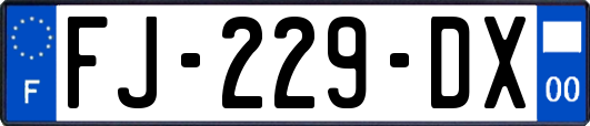 FJ-229-DX