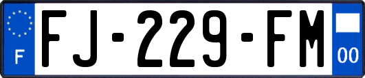 FJ-229-FM