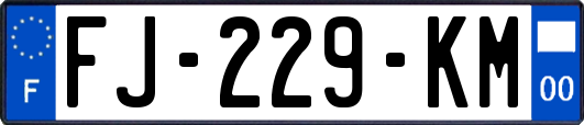 FJ-229-KM