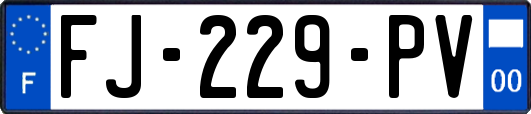 FJ-229-PV