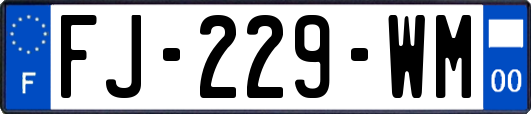 FJ-229-WM