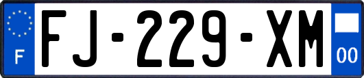 FJ-229-XM