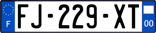 FJ-229-XT