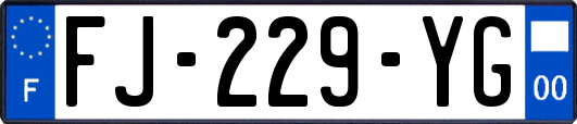 FJ-229-YG