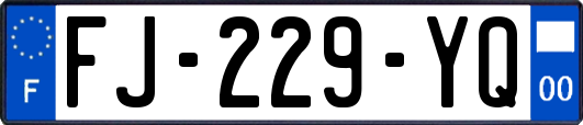 FJ-229-YQ