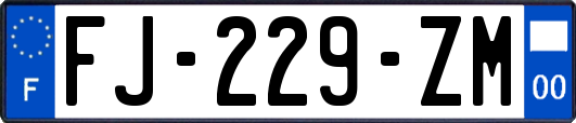 FJ-229-ZM