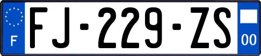 FJ-229-ZS