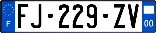 FJ-229-ZV