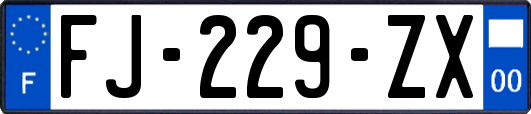 FJ-229-ZX