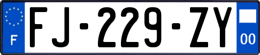 FJ-229-ZY