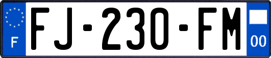 FJ-230-FM