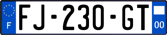 FJ-230-GT
