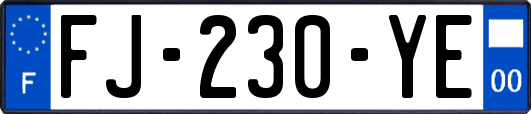 FJ-230-YE