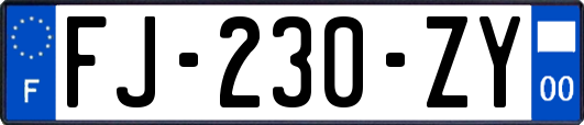 FJ-230-ZY