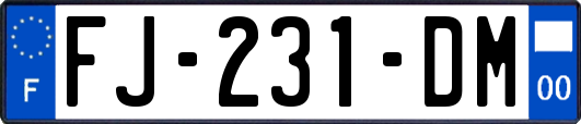 FJ-231-DM