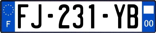 FJ-231-YB