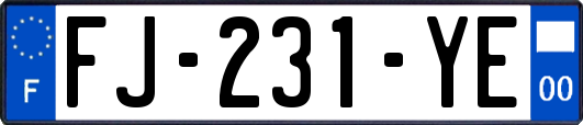 FJ-231-YE