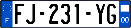 FJ-231-YG