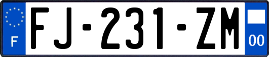 FJ-231-ZM