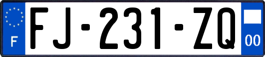 FJ-231-ZQ