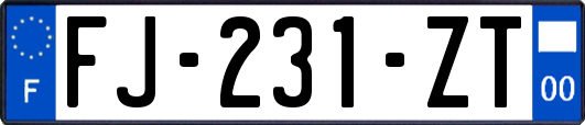 FJ-231-ZT