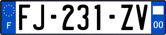 FJ-231-ZV