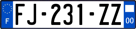 FJ-231-ZZ