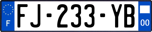 FJ-233-YB