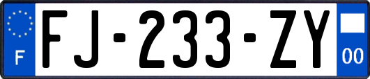 FJ-233-ZY