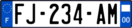 FJ-234-AM