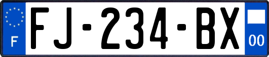 FJ-234-BX