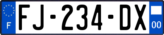FJ-234-DX