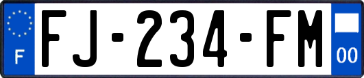 FJ-234-FM