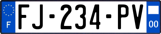 FJ-234-PV
