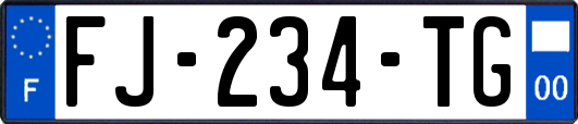 FJ-234-TG