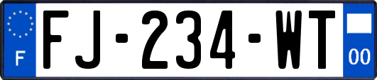 FJ-234-WT