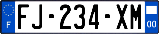 FJ-234-XM