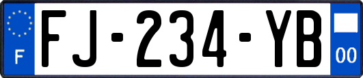 FJ-234-YB